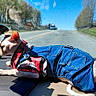 cat, hairless_cat, denim, clothing, car_dashboard, road, trees, sunlight, blue_sky, vehicle_in_distance, pet, animal, road_trip, outdoor, daytime, plaid_shirt, funny, relaxing, travel, window_reflection