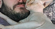 Harry joined the competition — help win amazing prizes! beard, blanket, cat, close_up, comfort, companion, cuddle, cute, domestic, face, friendship, glasses, hairless_cat, indoor, man, pet, pillow, relaxation, resting, snuggling