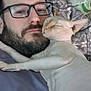 man, glasses, beard, hairless_cat, cat, snuggling, blanket, pillow, indoor, resting, close_up, face, pet, companion, relaxation, comfort, cute, cuddle, domestic, friendship