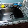 Jack is registered to the contest to win money with this photo: animal, basin, blackcat, cat, doublesink, kitten, manx, pet, sink, sinkfaucet, tap