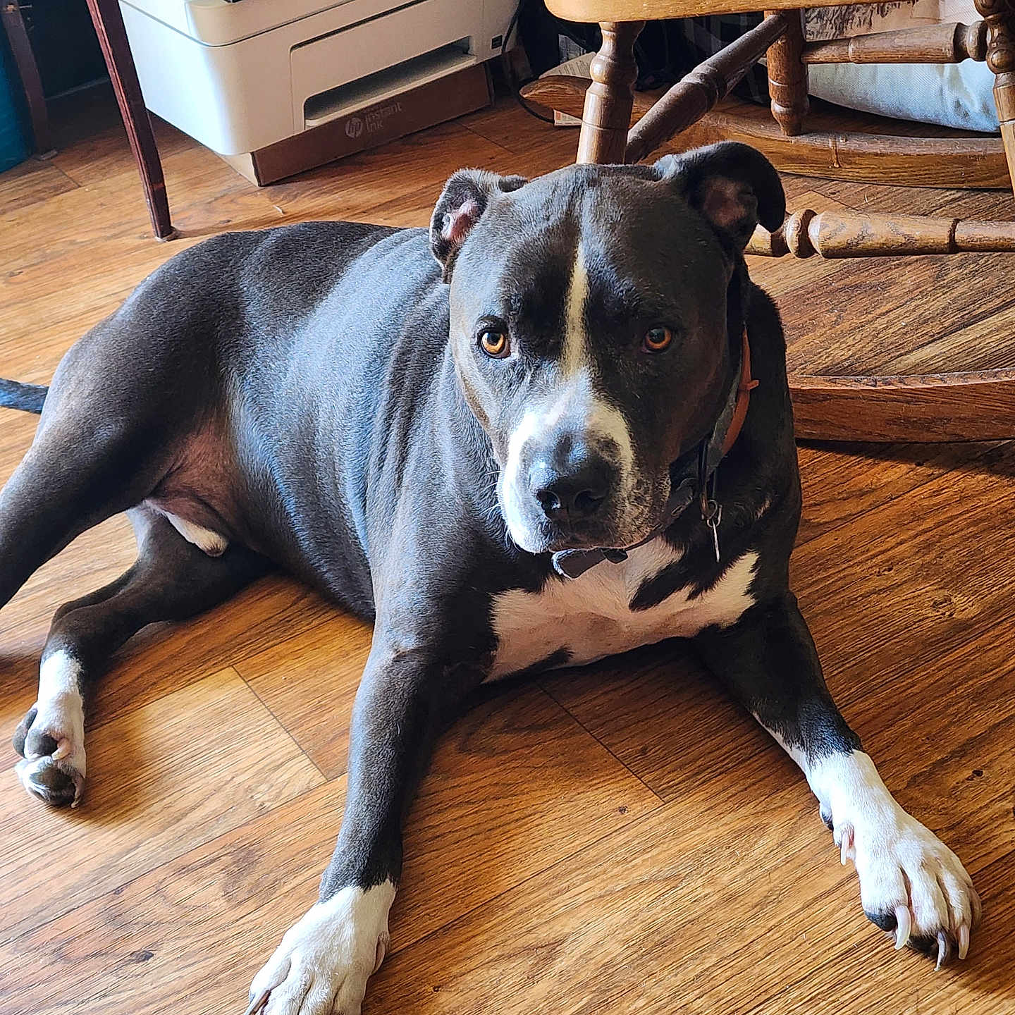 Max