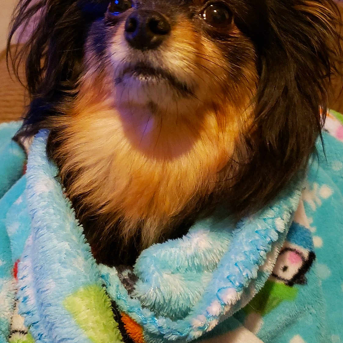 Peanut