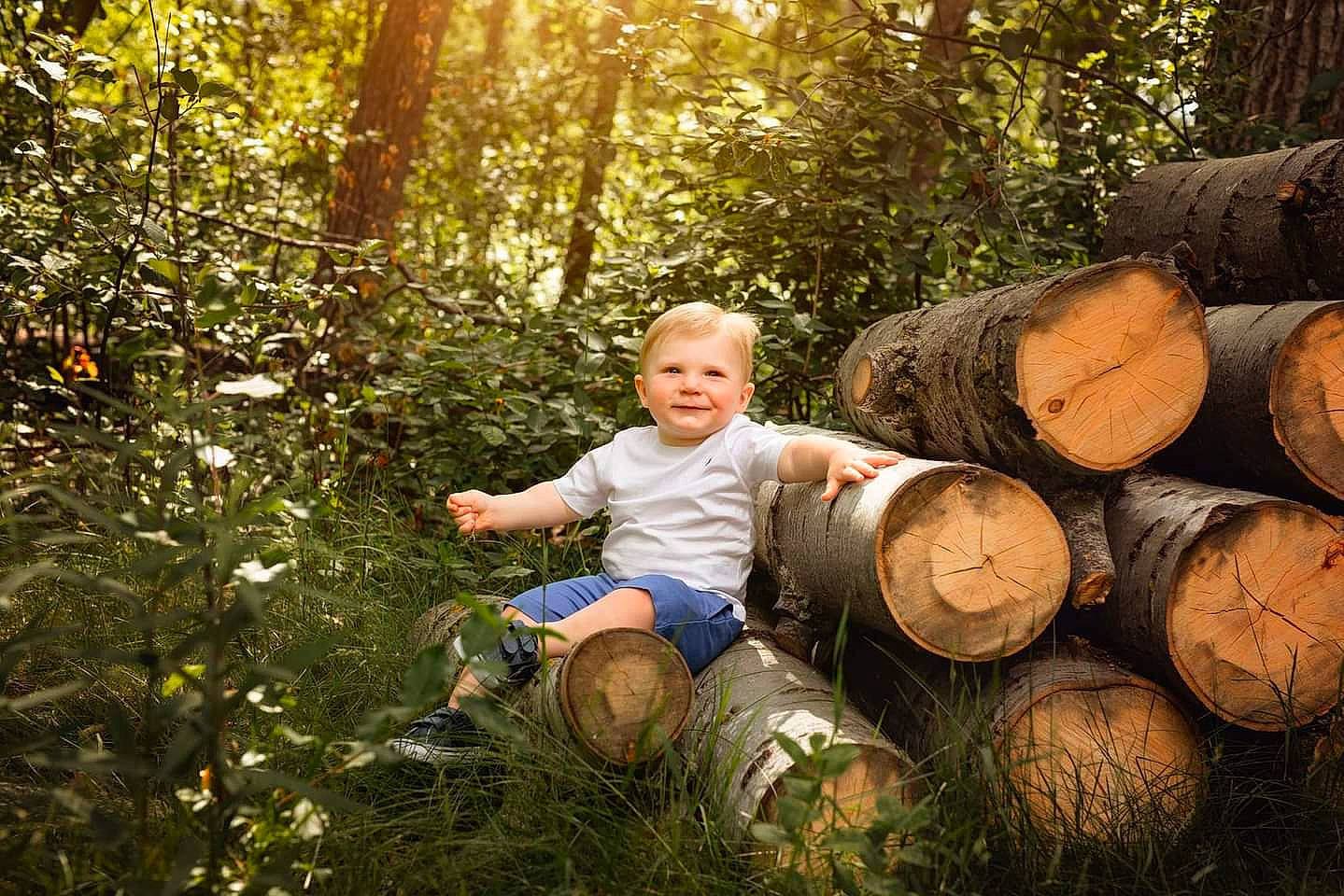 Vinny joined the competition — help win amazing prizes! event, flash_photography, forest, fun, garden, grass, happy, joy, logging, lumber, natural_landscape, people_in_nature, person, plant, portrait_photography, sitting, toddler, tree, trunk, wood