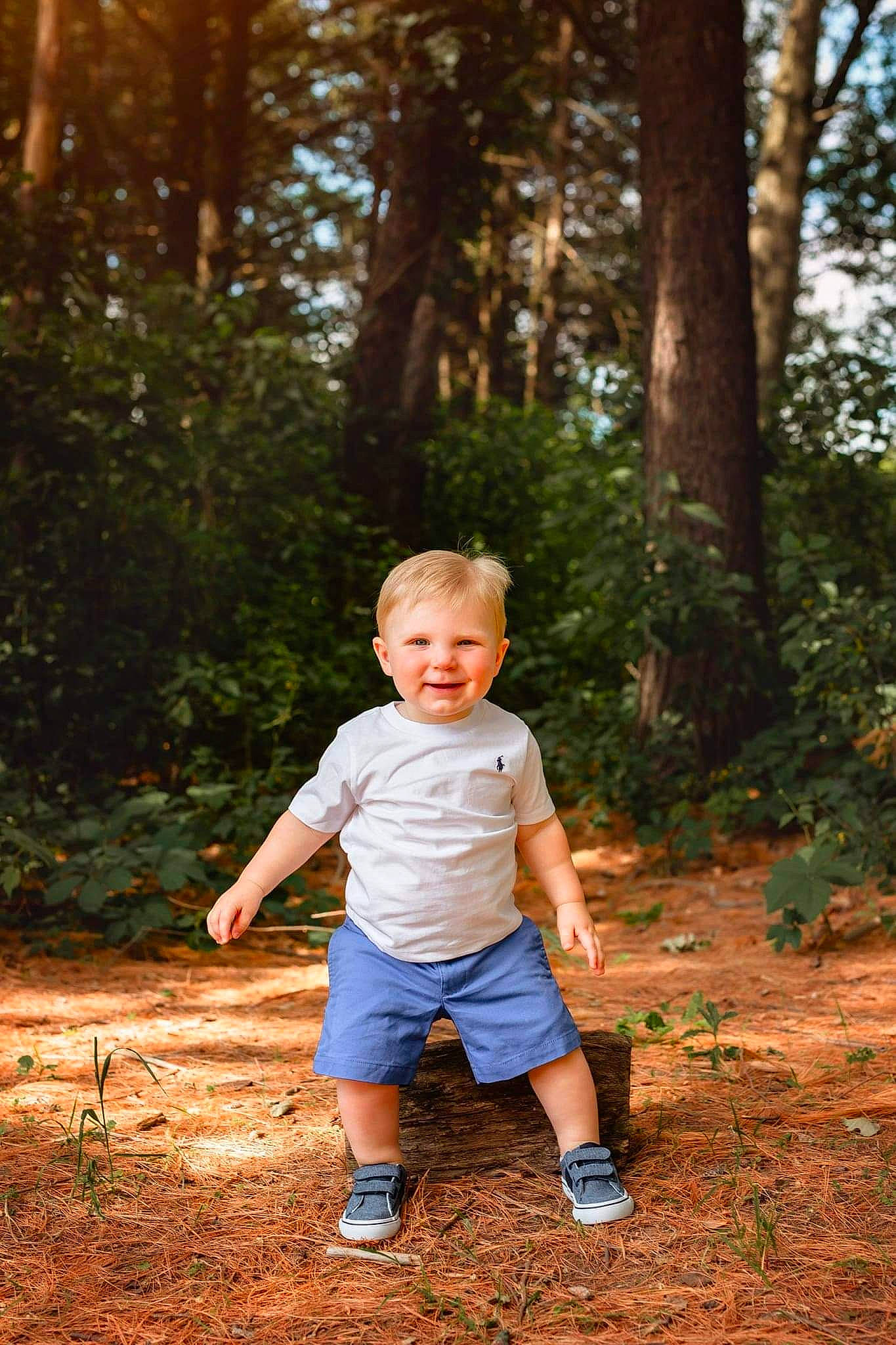 Vinny is registered to the contest to win money with this photo: baby, baby_toddler_clothing, child, forest, fun, grass, happy, joy, leisure, people_in_nature, person, plant, recreation, shorts, sitting, standing, sunlight, t_shirt, toddler, tree