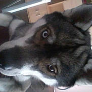 Foego is registered to the contest to win money with this photo: