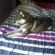 FOEGO is registered to the contest to win money with this photo: