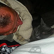 Ghost joined the competition — help win amazing prizes! animal, blanket, cat, close_up, comfort, cozy, fabric, face, gray_cat, head, human, indoor, man, peaceful, pet, resting, sleeping, striped, texture, warm