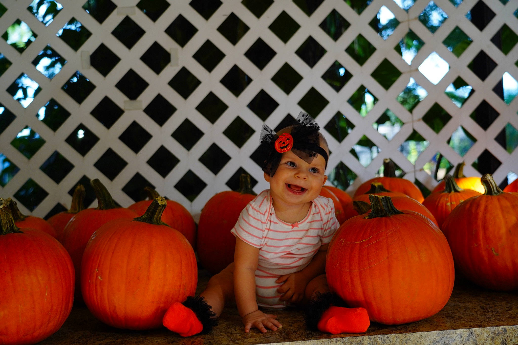 Erica joined the competition — help win amazing prizes! calabaza, cucurbita, eye, face, fruit, gourd, grass, happy, head, headwear, joy, leaf, local_food, natural_foods, orange, people, person, plant, pumpkin, squash