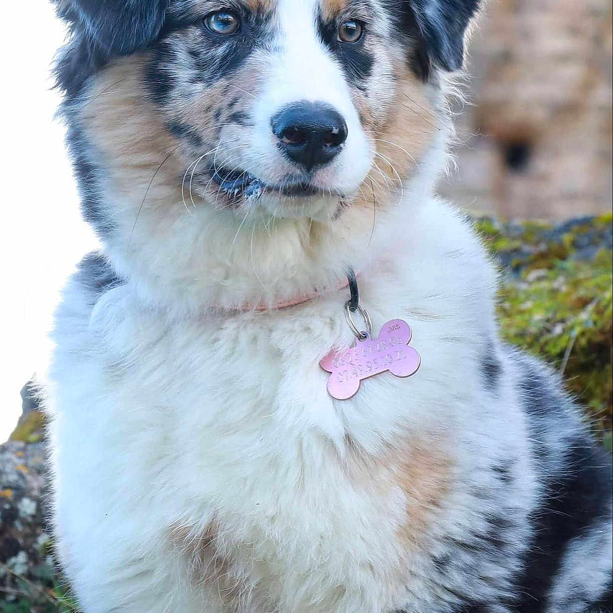 Vaiana