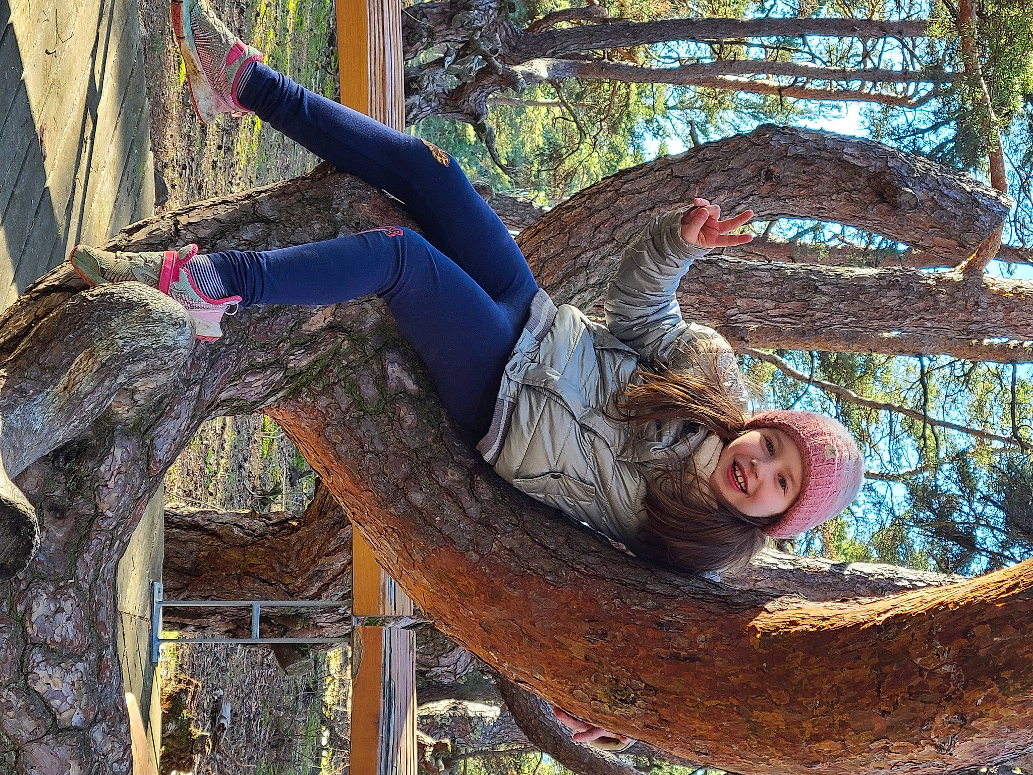 Ambre participe au concours pour gagner de l'argent avec cette photo : balance, branch, electric_blue, fun, grass, happy, headwear, joy, leg, leisure, people_in_nature, person, plant, sitting, smile, tree, trunk, wood