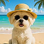 dog, beach, sunglasses, hat, straw_hat, white_fur, smiling, ocean, sand, palm_trees, sunny, vacation, cute, pet, summer, portrait, canine, outdoor, happy, holiday