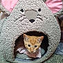 kitten, cat, pet_bed, mouse_shape, pink_ears, cozy, indoor, curious, orange_cat, furry, animal, cute, soft_texture, whiskers, small, face, resting, home, floor, snug