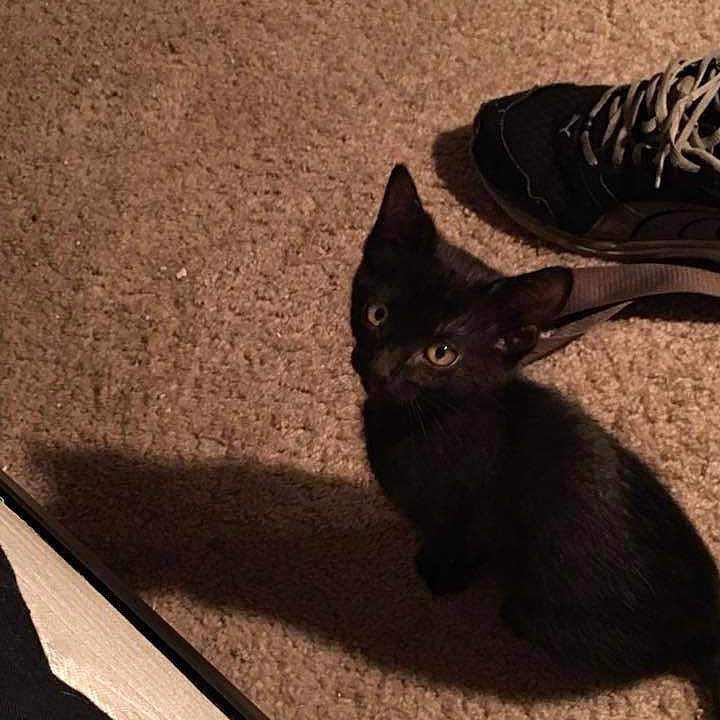 The Baby