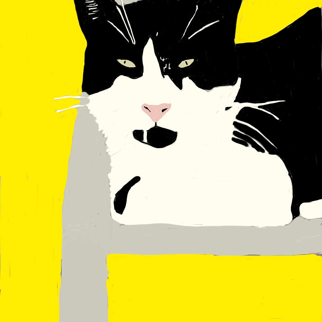 Cat Art