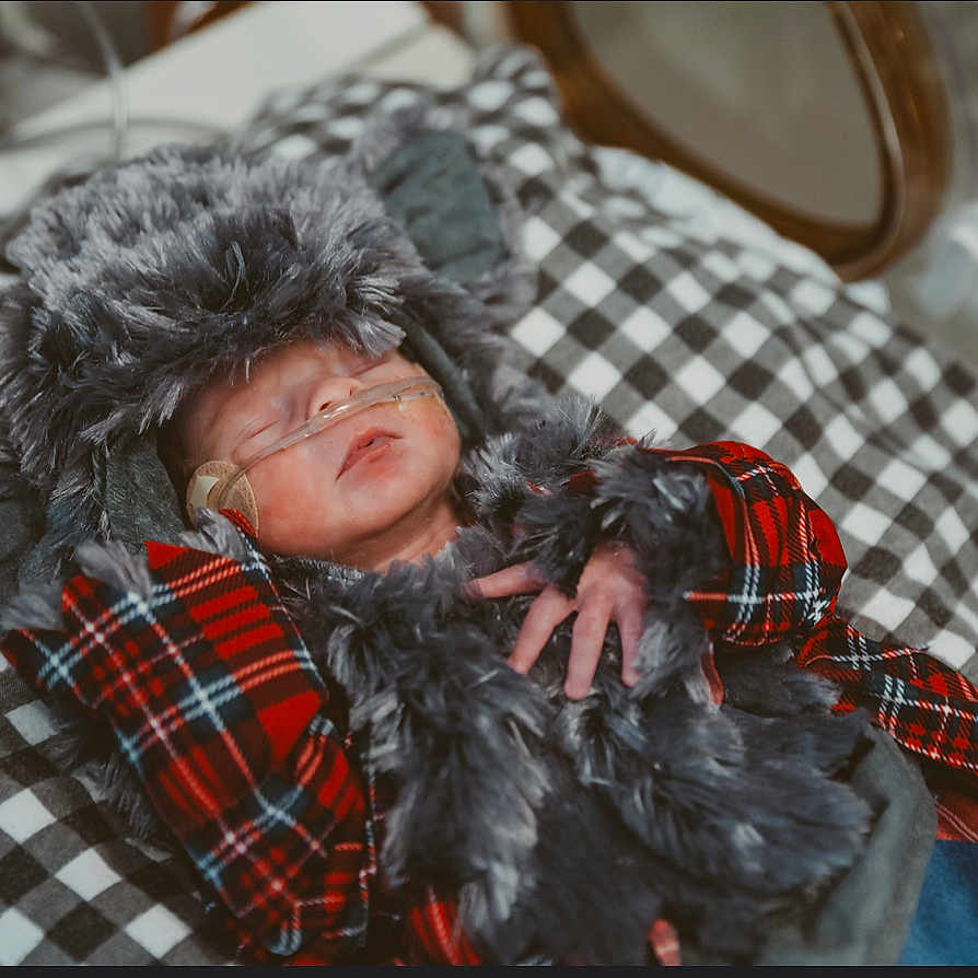 Rykr joined the competition — help win amazing prizes! accessories, animal, blanket, cat, clothing, crying, cushion, face, fur, glasses, happy, head, homedecor, person, photography, portrait, sad, sleeping, smile, tartan