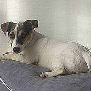 Inna participe au concours pour gagner de l'argent avec cette photo :