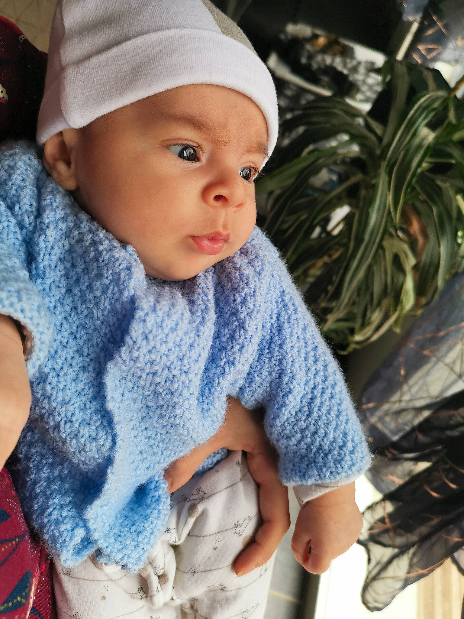Valentin participe au concours pour gagner de l'argent avec cette photo : baby, baby_toddler_clothing, cap, cheek, chin, cool, eye, happy, headgear, headwear, iris, lip, nose, organ, outerwear, person, plant, product, skin, sleeve