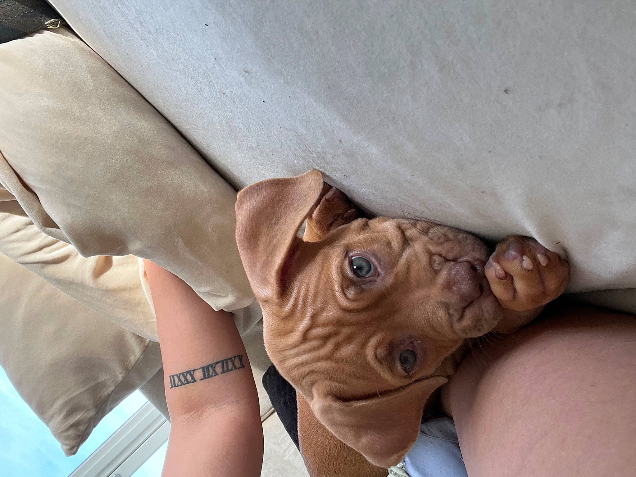 Saint joined the competition — help win amazing prizes! abdomen, adventure, barechested, barefoot, chest, comfort, elbow, fawn, flesh, foot, gesture, human_leg, knee, nail, thigh, thumb, trunk, vein, wrinkle, wrist