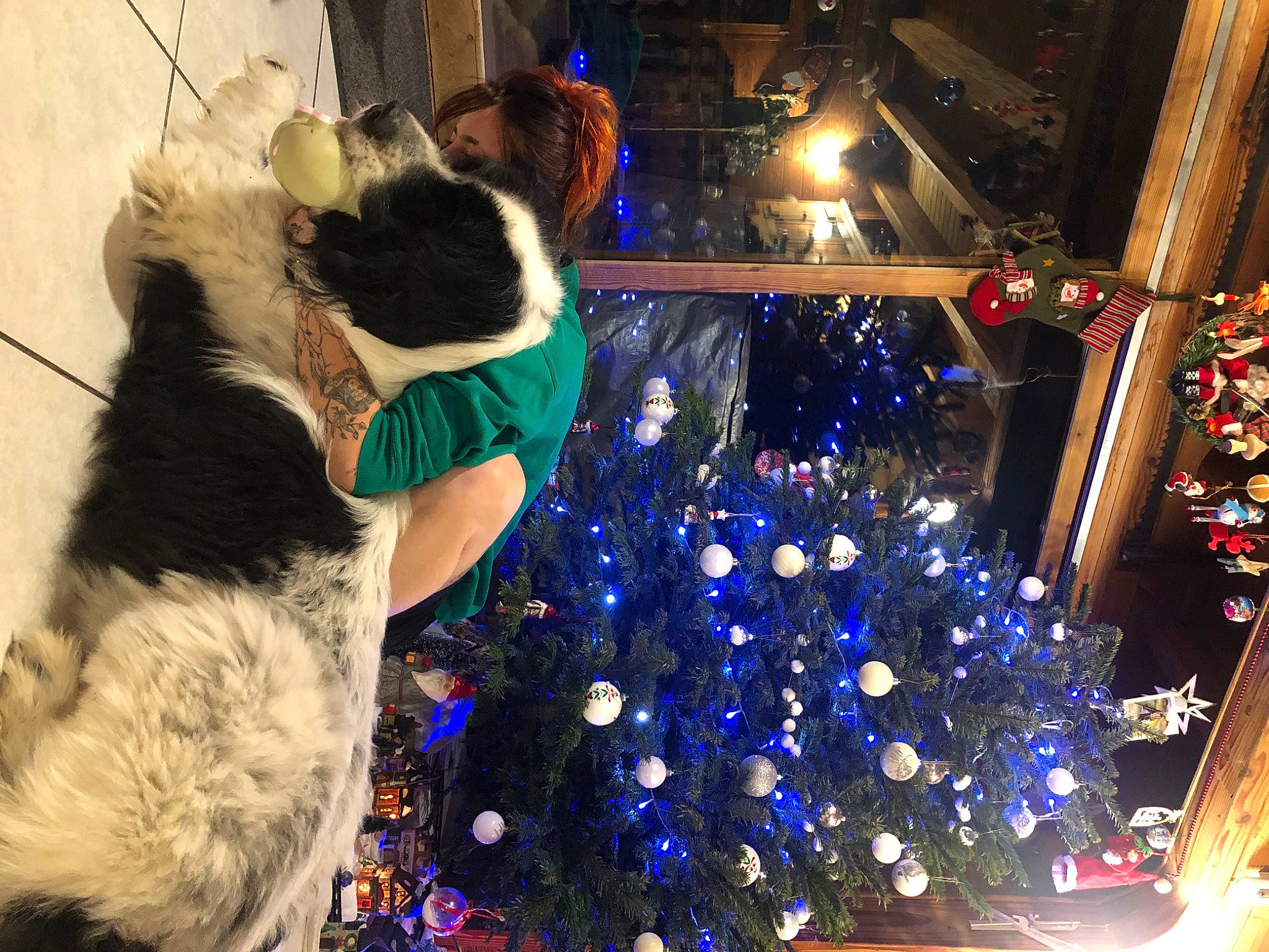 Mithrandir participe au concours pour gagner de l'argent avec cette photo : christmas, christmas_decoration, christmas_eve, christmas_ornament, christmas_tree, conifer, decoration, electric_blue, event, fun, fur, fur_clothing, holiday, holiday_ornament, light, ornament, plant, tradition, tree, winter