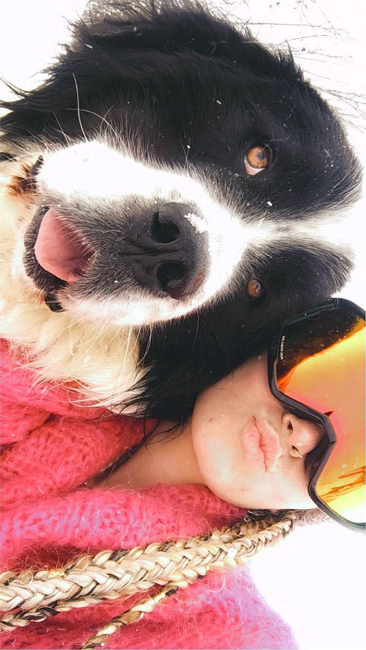 Mithrandir a rejoint le concours — aidez-le/la à gagner de superbes lots ! canidae, carnivore, companion_dog, dog, dog_breed, eyelash, eyewear, fawn, fur, gesture, happy, jaw, nose, paw, selfie, snout, sporting_group, sunglasses, whiskers, working_animal