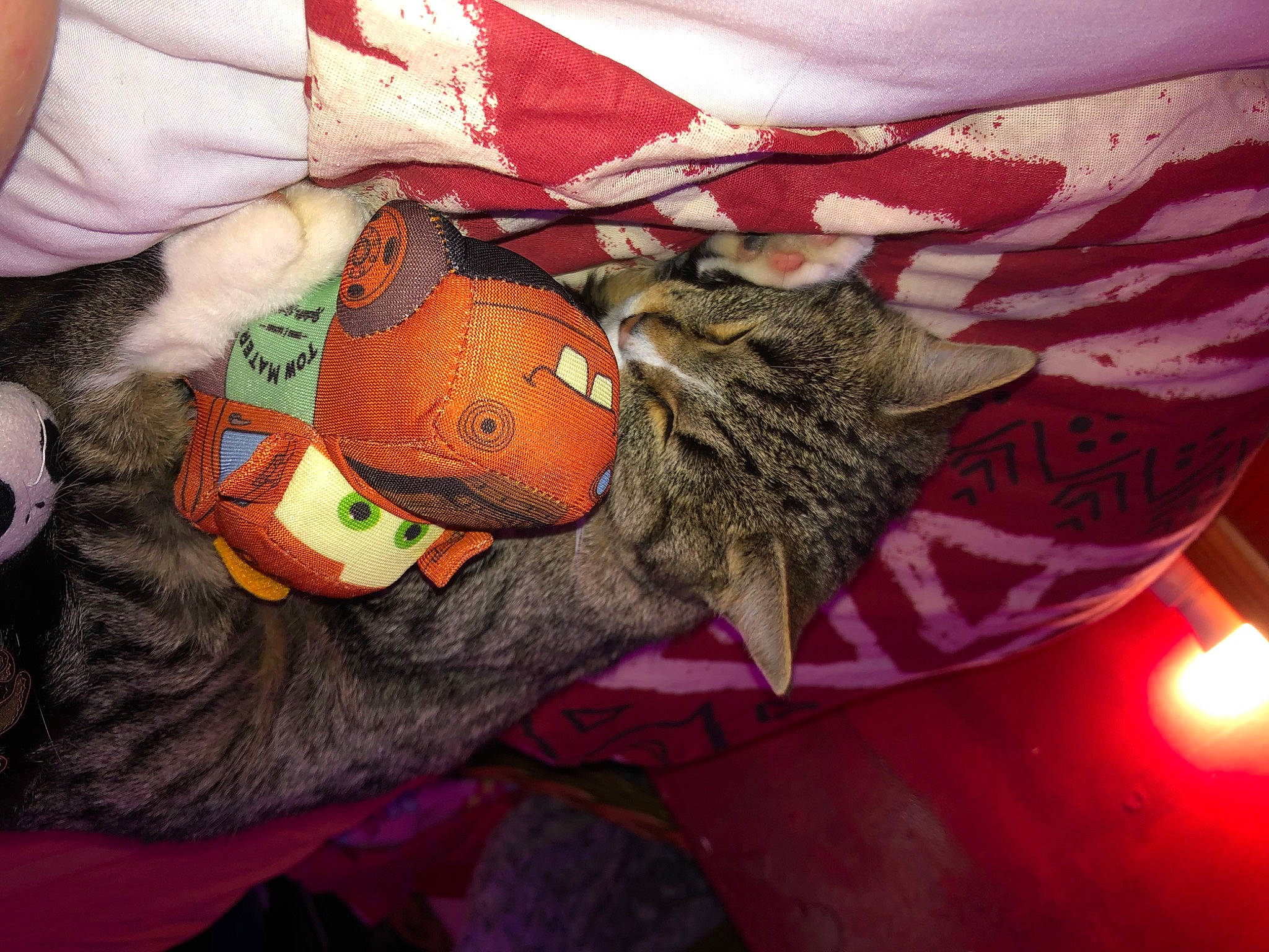 Ulyssia a rejoint le concours — aidez-le/la à gagner de superbes lots ! cat, comfort, elbow, felidae, finger, fur, human_leg, linens, magenta, nail, pattern, red, sleeve, small_to_medium_sized_cats, t_shirt, textile, thigh, thread, wool, wrist