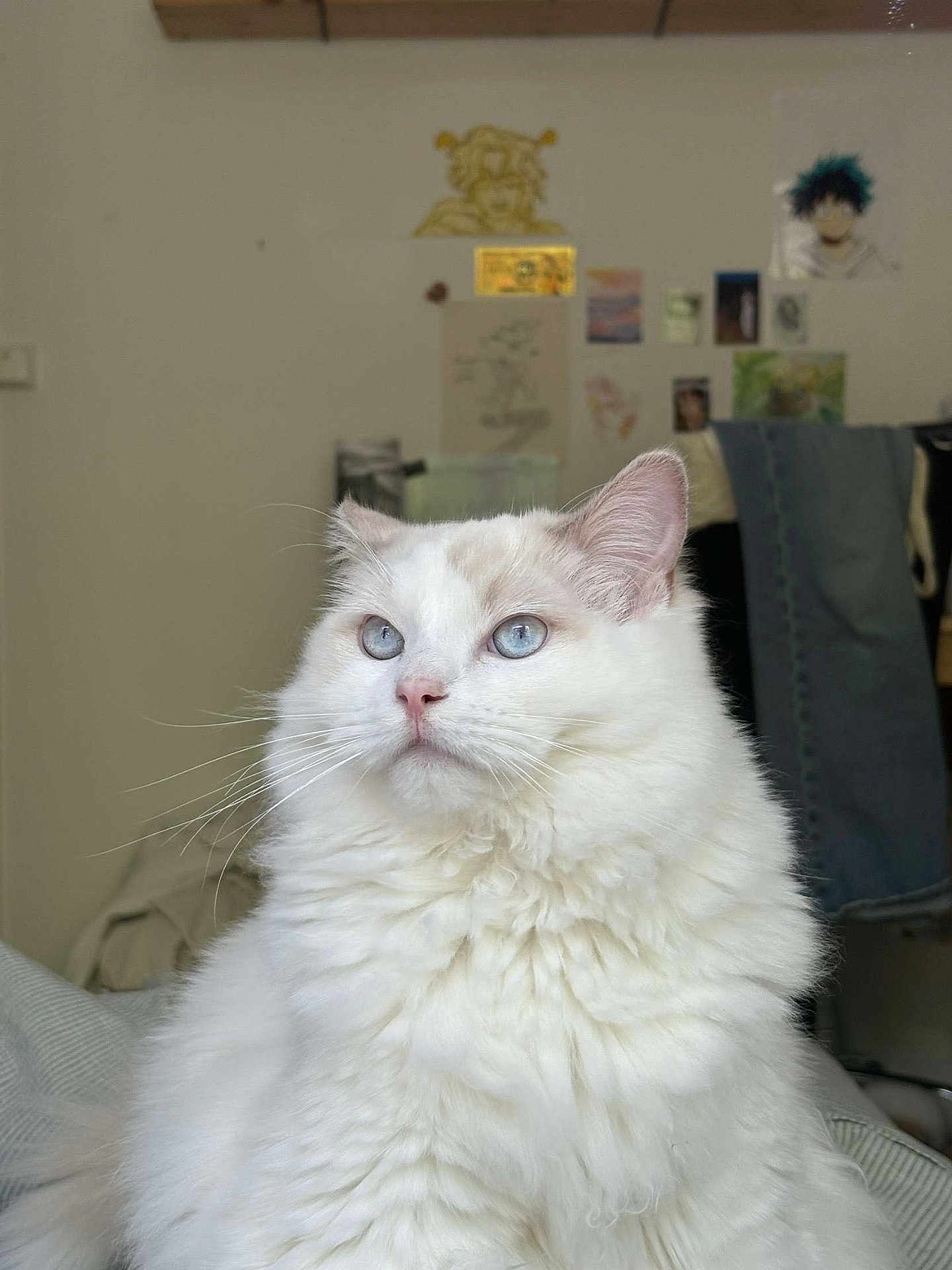 Wallace