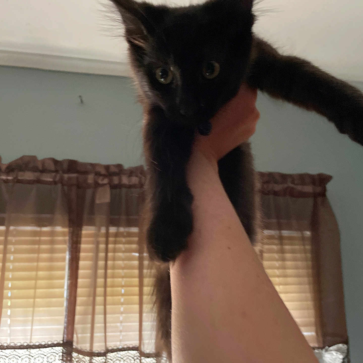Binx