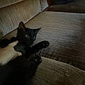 Phoebe F.