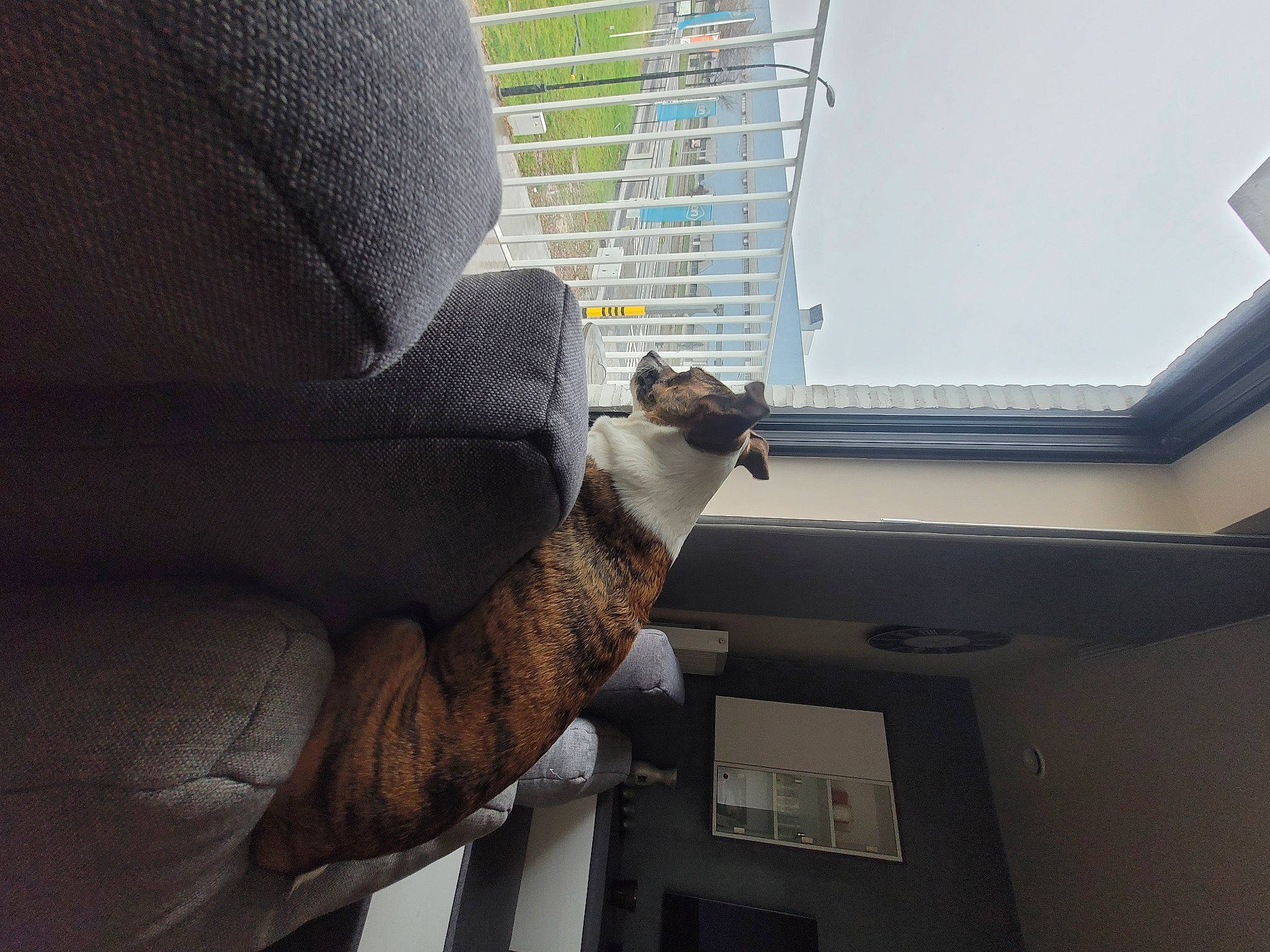 Sia participe au concours pour gagner de l'argent avec cette photo : ceiling, daylighting, elbow, finger, gesture, glass, glove, human_leg, roof, room, safety_glove, sky, sleeve, window, wood, wrist