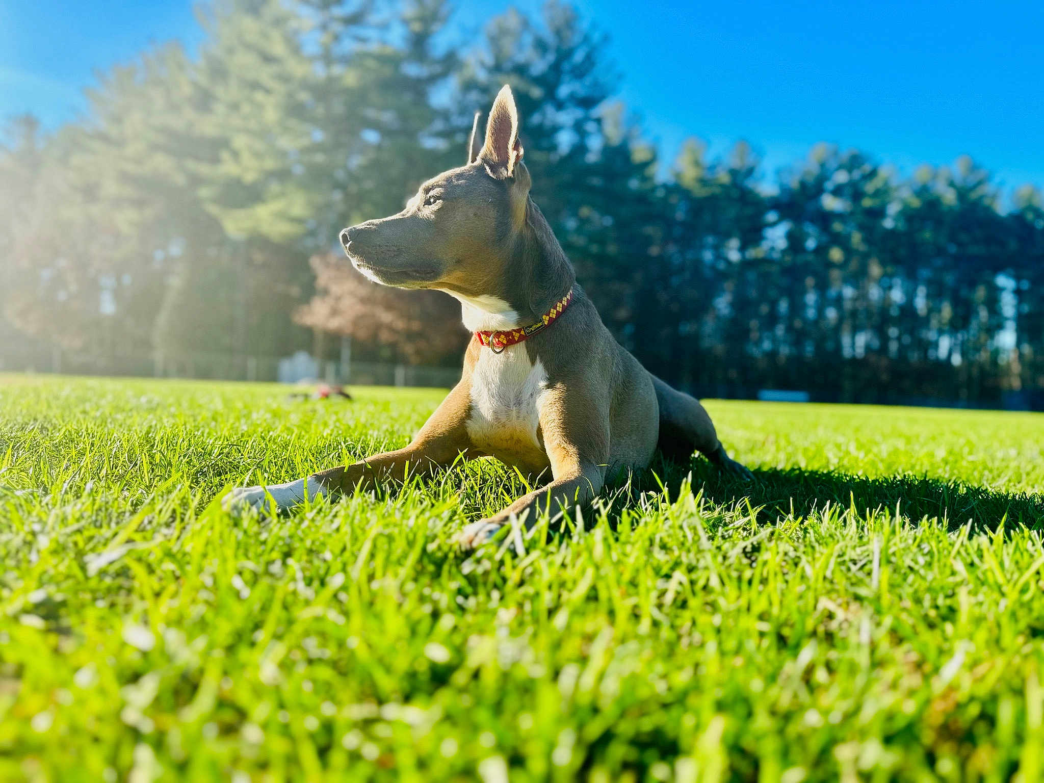 Spunky