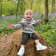 Atty is registered to the contest to win money with this photo: toddler, child, tree_stump, forest, greenery, purple_flowers, hoodie, white_sneakers, nature, outdoor, happy, smiling, sitting, young_child, casual_clothing, daylight, plants, trees, wood, pathway