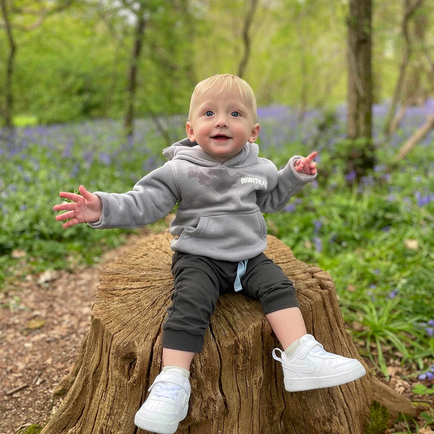 Atty is registered to the contest to win money with this photo: casual_clothing, child, daylight, forest, greenery, happy, hoodie, nature, outdoor, pathway, plants, purple_flowers, sitting, smiling, toddler, tree_stump, trees, white_sneakers, wood, young_child