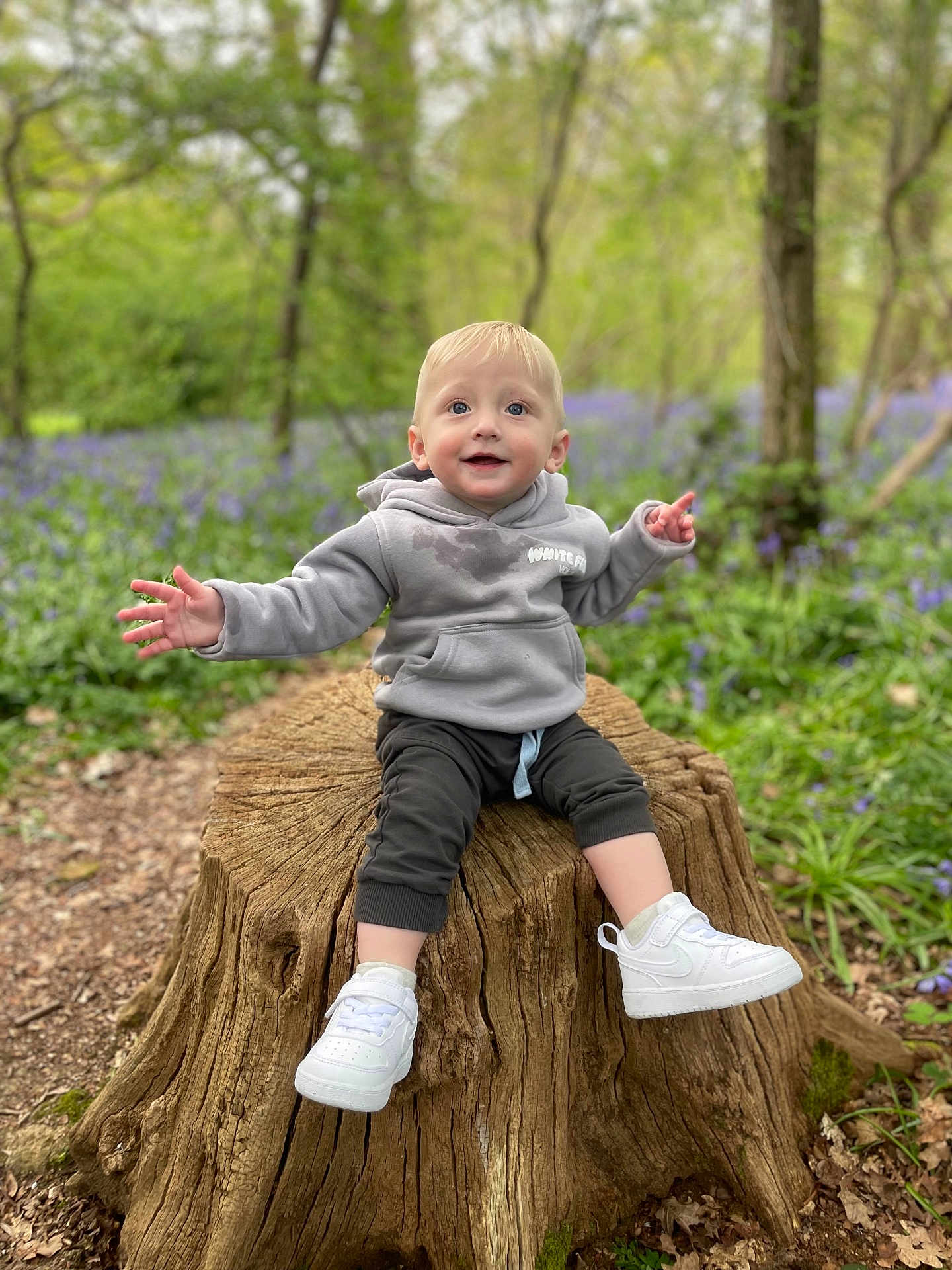 Atty is registered to the contest to win money with this photo: toddler, child, tree_stump, forest, greenery, purple_flowers, hoodie, white_sneakers, nature, outdoor, happy, smiling, sitting, young_child, casual_clothing, daylight, plants, trees, wood, pathway