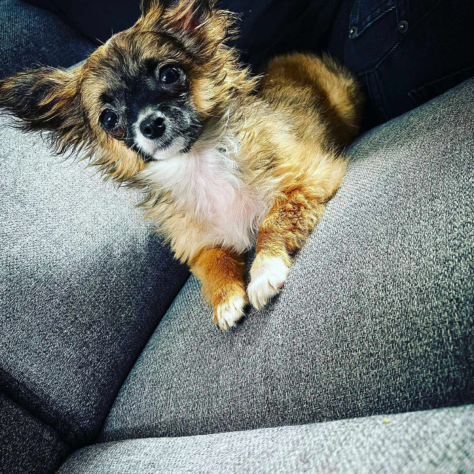 Tasha