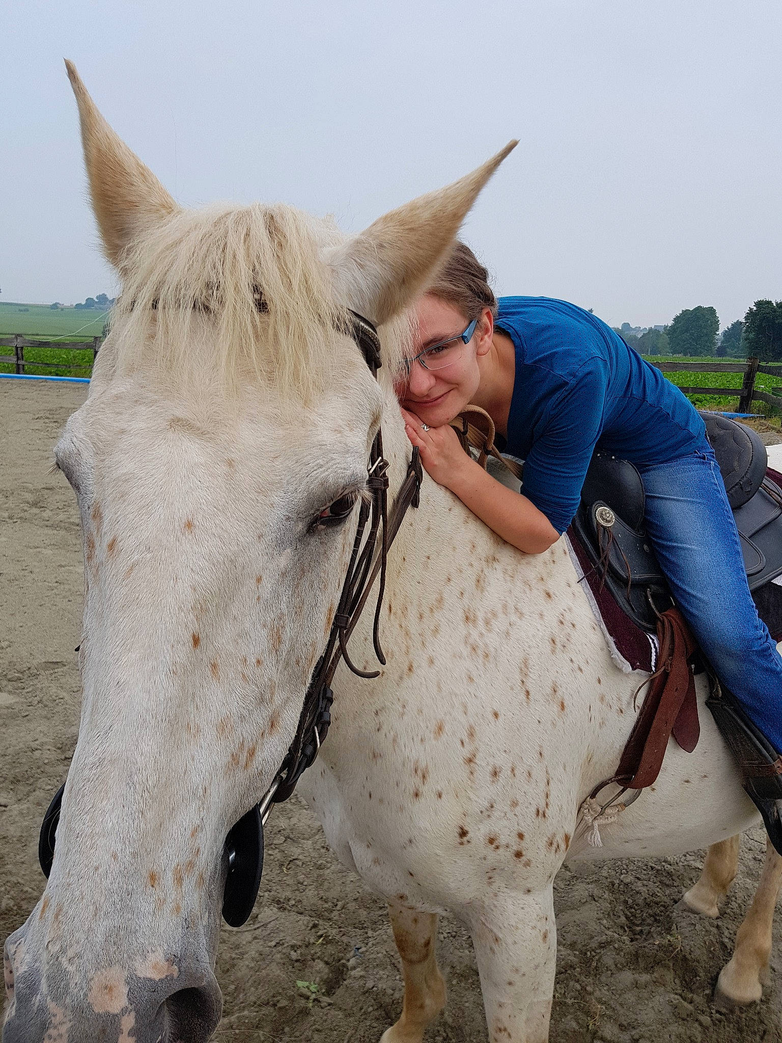 Jolie a rejoint le concours — aidez-le/la à gagner de superbes lots ! animal_sports, bridle, equestrianism, halter, horse, horse_supplies, horse_tack, joy, mammal, mane, mare, organism, pack_animal, person, recreation, rein, riding_instructor, smile, snout, stallion