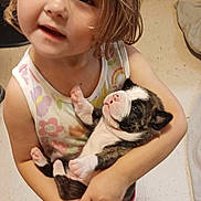 Allison is registered to the contest to win money with this photo: toddler, child, puppy, dog, pet, indoor, floor, kitchen, cabinet, curly_hair, holding, cute, young, animal, person, looking_up, white, brown, black, casual
