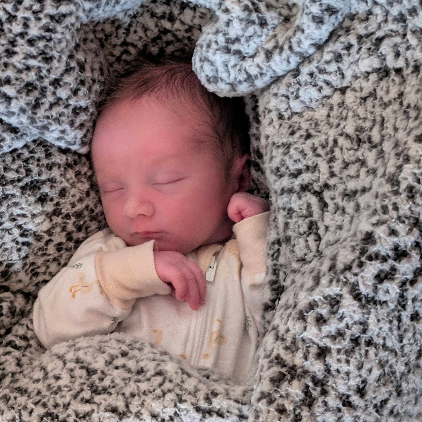 Daemon joined the competition — help win amazing prizes! baby, blanket, child, clothing, cozy, cute, face, hand, indoors, infant, newborn, pajamas, peaceful, portrait, resting, sleeping, soft, texture, warm, wrapped