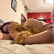 Nahala joined the competition — help win amazing prizes! person, cat, glasses, bed, blanket, indoor, furniture, painting, cabinet, orange_cat, hugging, cozy, resting, warm_lighting, sleepy, comfort, relaxation, soft_texture, casual, intimate_moment