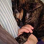 animal, bed, cat, closeup, comfort, cozy, feline, fur, hand, human_hand, indoor, paw, pet, pillow, relaxation, resting, sleeping, snuggling, striped_pillow, tortoiseshell_cat