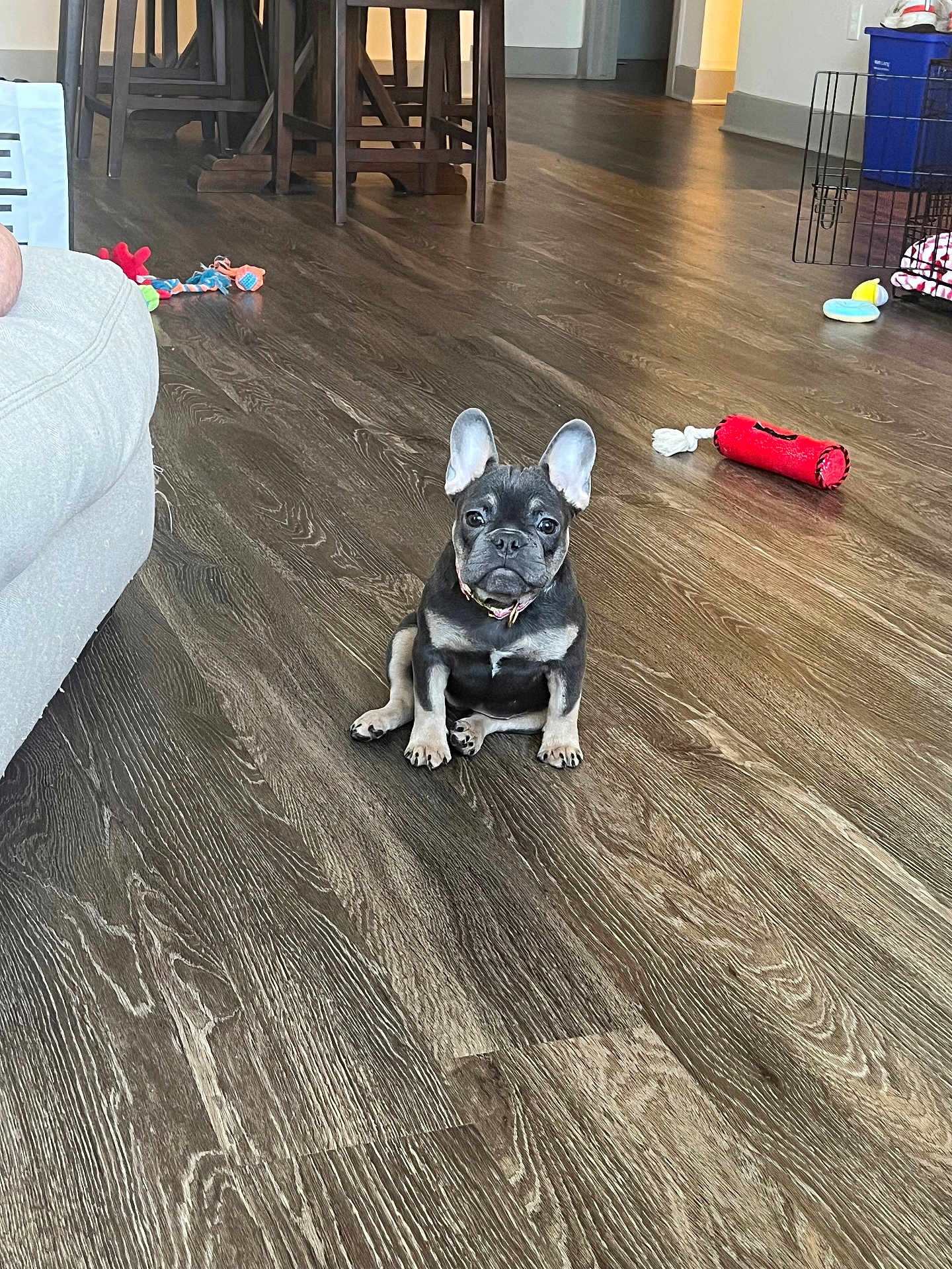 Tilly