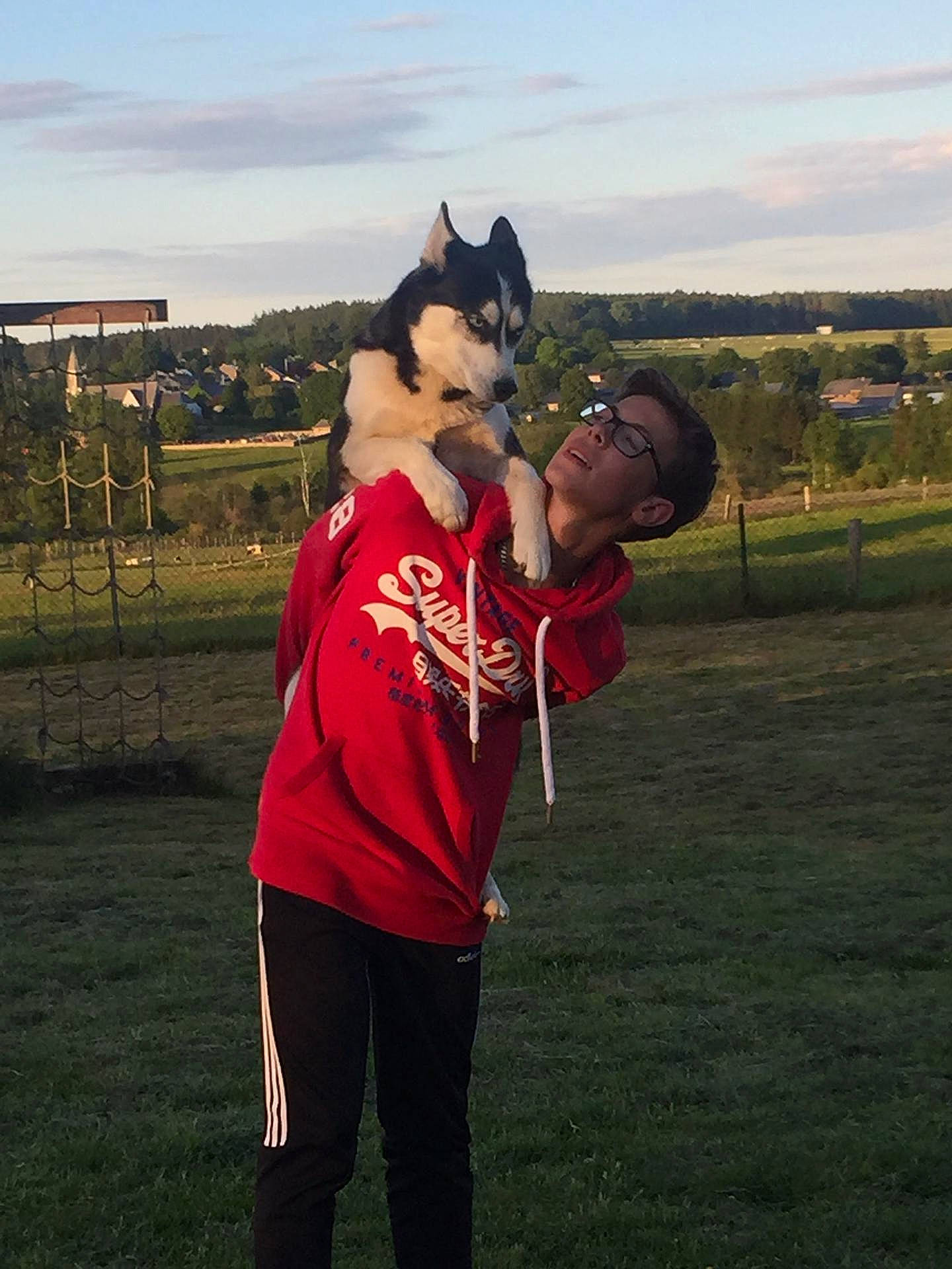 Haika a rejoint le concours — aidez-le/la à gagner de superbes lots ! animal_sports, animal_training, canidae, carnivore, companion_dog, dog, dog_breed, dog_sports, dog_supply, fur, herding_dog, sled_dog, working_animal, working_dog