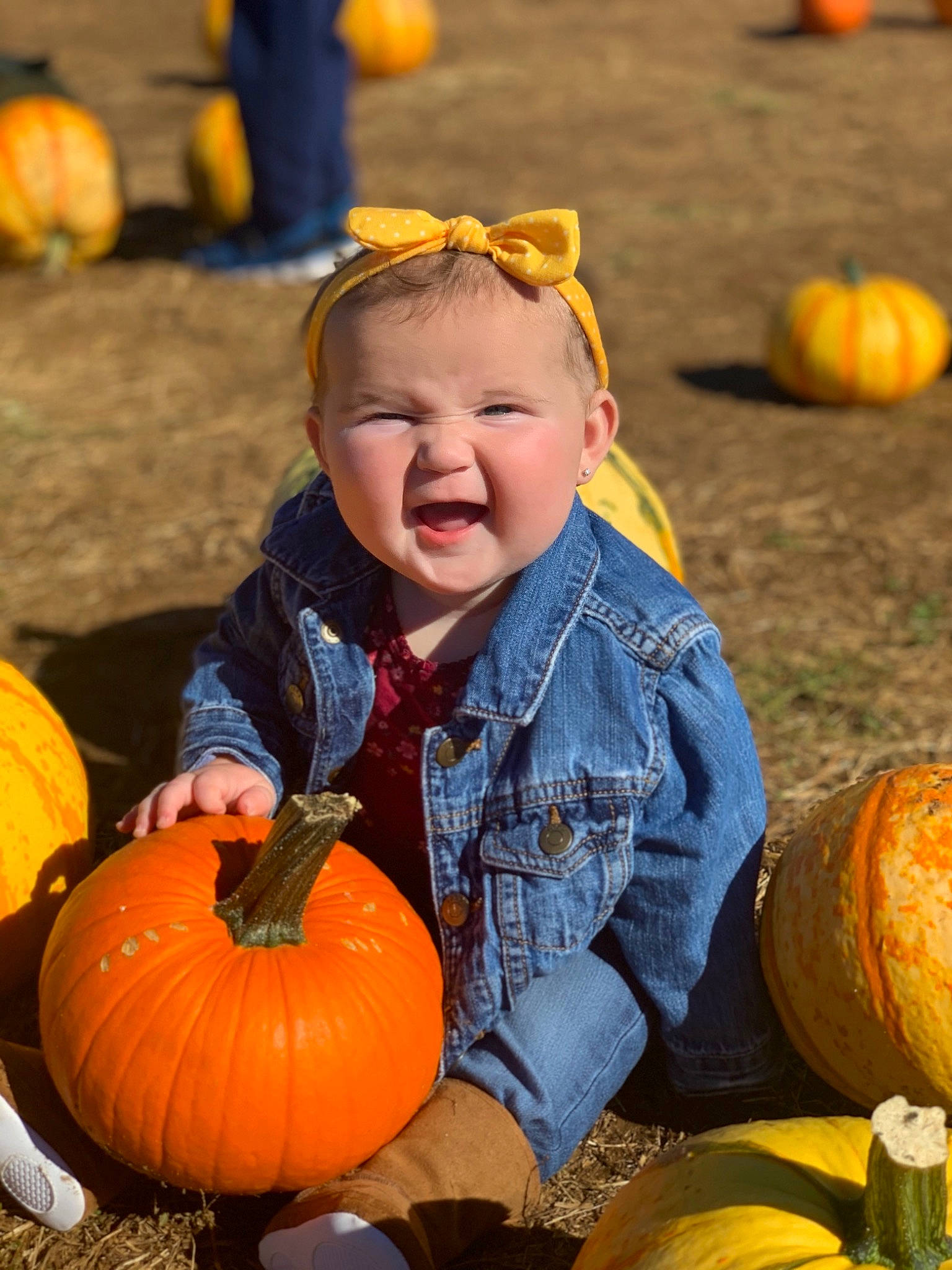 Jaida is registered to the contest to win money with this photo: _and_melon_family, _gourd, autumn, calabaza, child, cucumber, cucurbita, food, fruit, gourd, local_food, natural_foods, orange, person, plant, produce, pumpkin, smile, squash, toddler