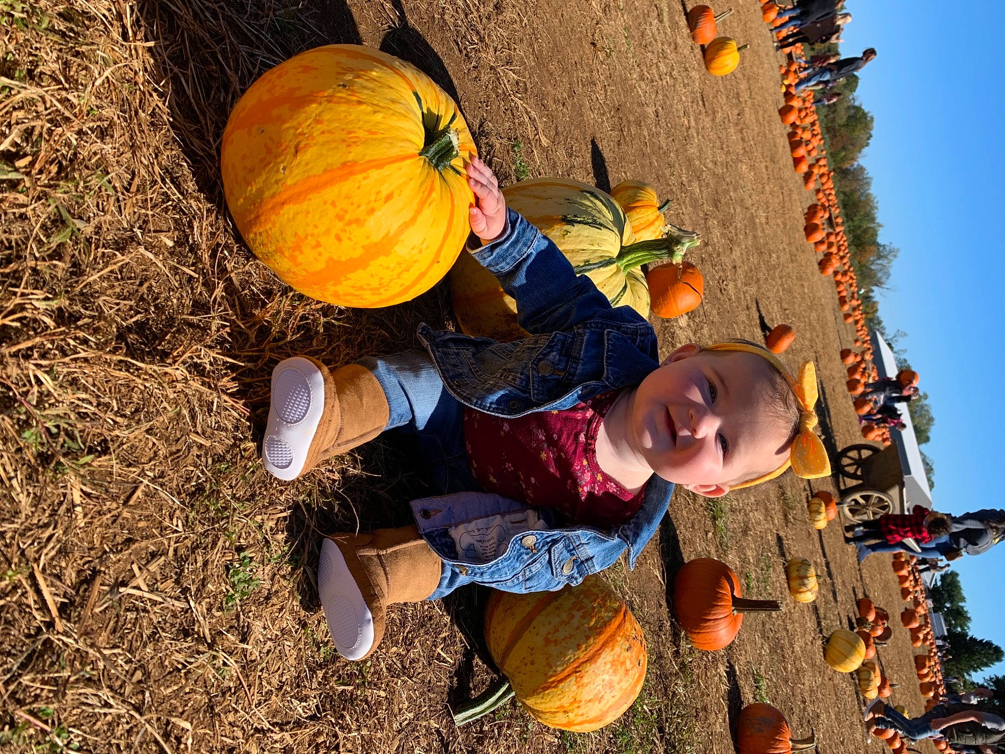 Jaida joined the competition — help win amazing prizes! autumn, calabaza, child, fun, joy, person, plant, pumpkin, smile, toddler, tree, winter_squash, wood