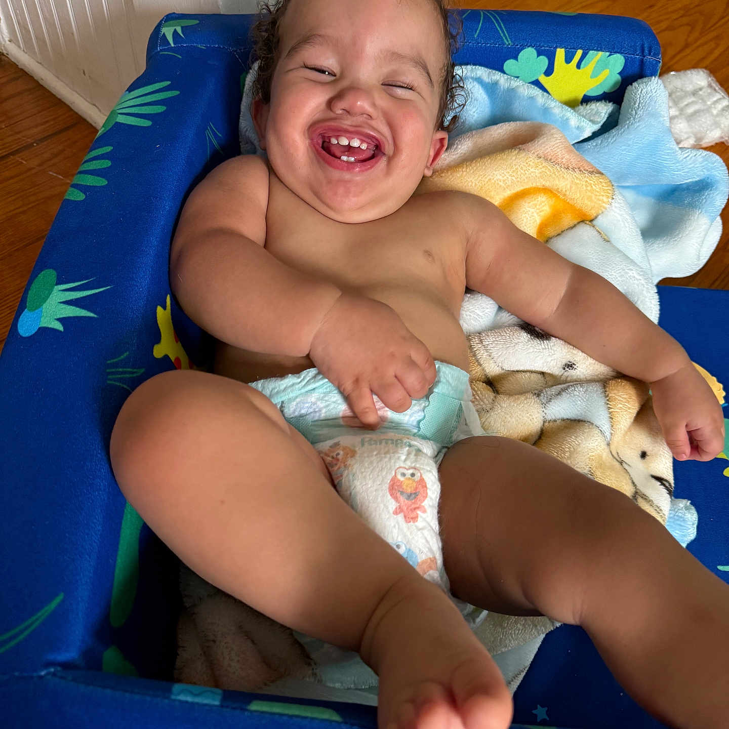 Albin