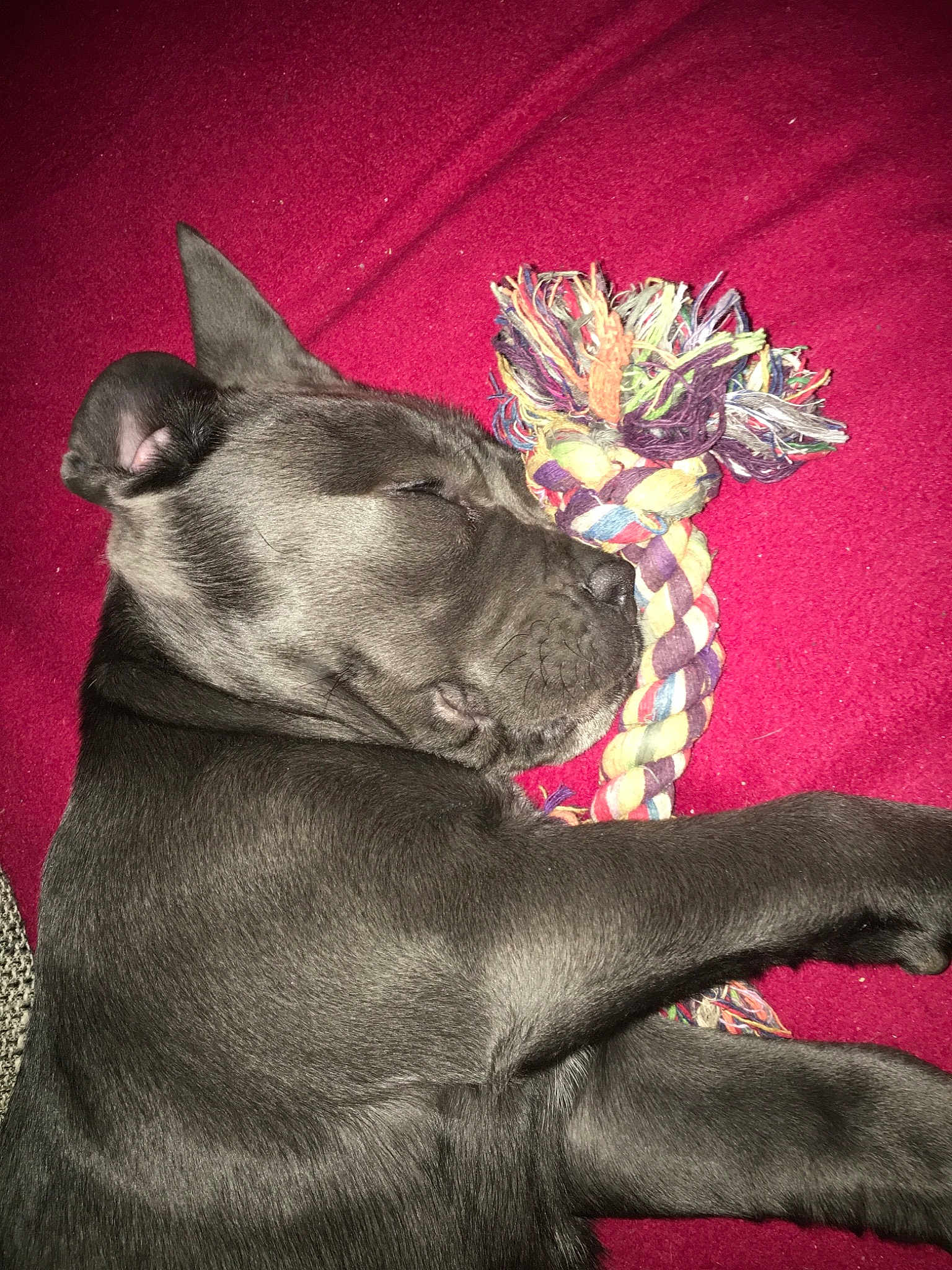 Armani