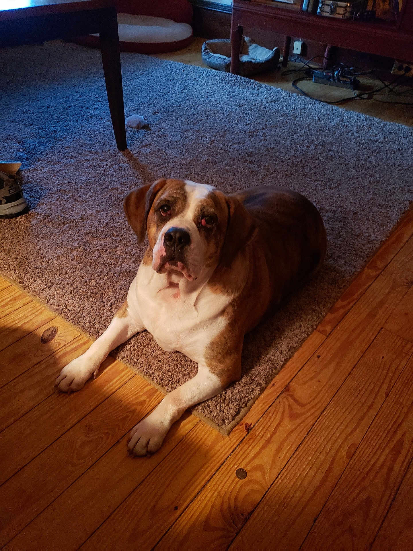 Copper
