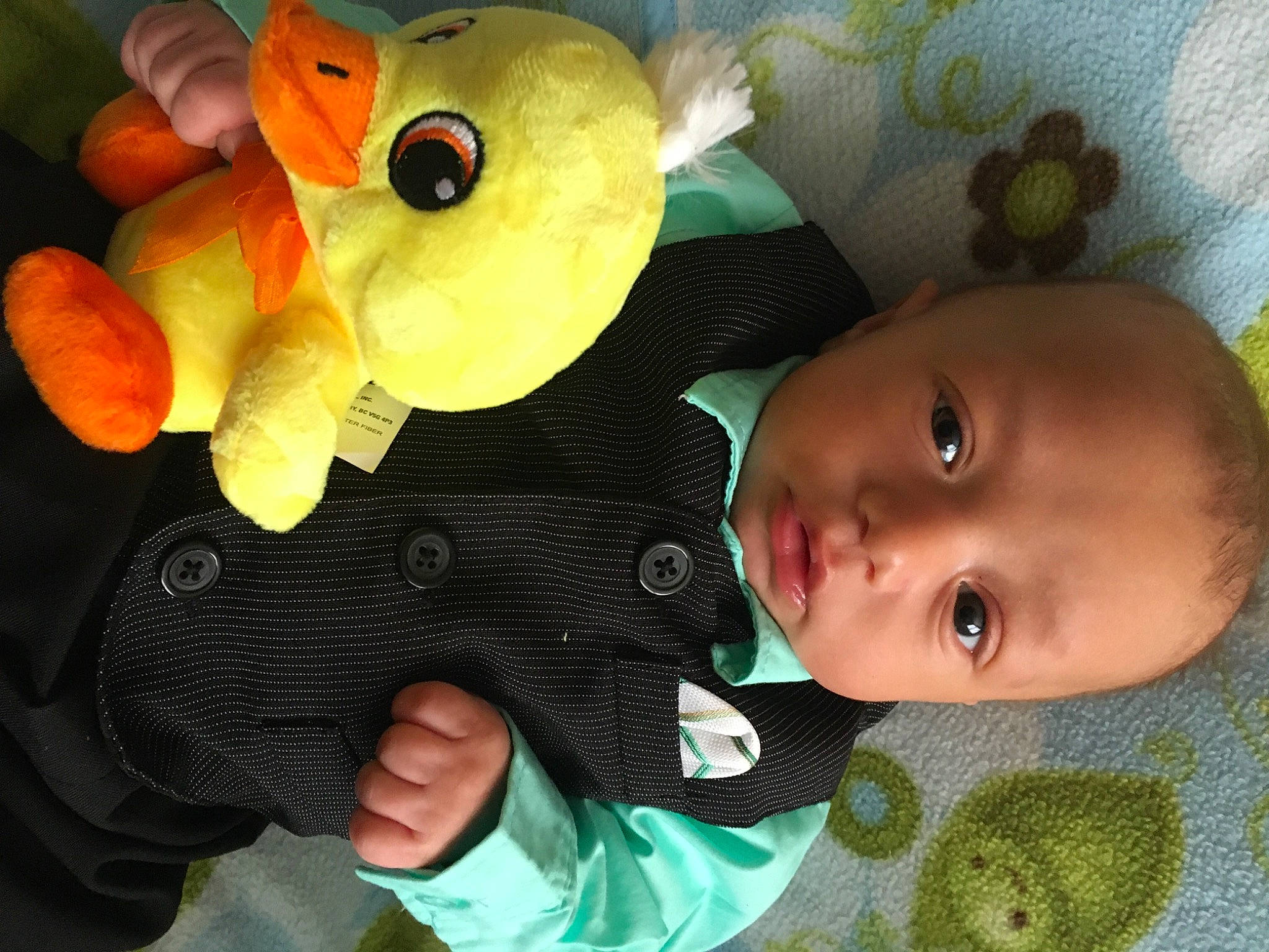 Anthony is registered to the contest to win money with this photo: baby, baby_products, baby_toddler_clothing, baby_toys, cheek, child, comfort, duck, green, happy, linens, nose, person, photograph, plush, room, smile, stuffed_toy, toddler, toy