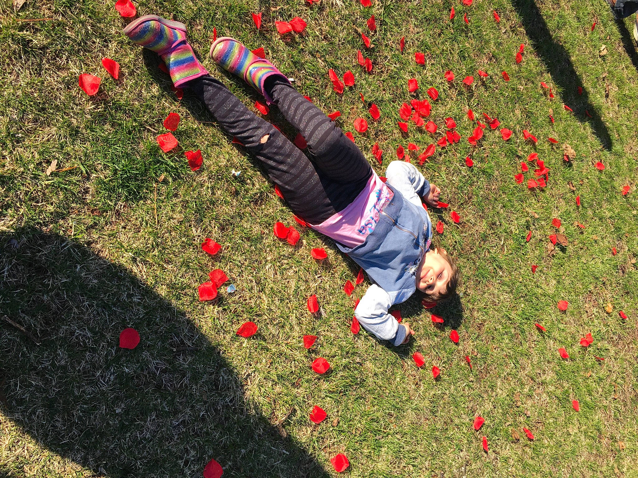 Nina is registered to the contest to win money with this photo: deciduous, field, flooring, flower, flowering_plant, grass, grass_family, grassland, groundcover, happy, landscape, lawn, leisure, meadow, people_in_nature, person, petal, plant, red, shrub