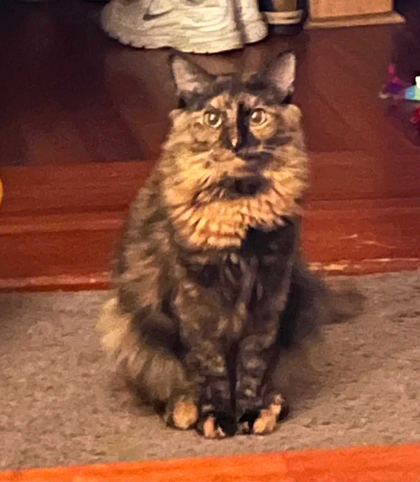 Chloe