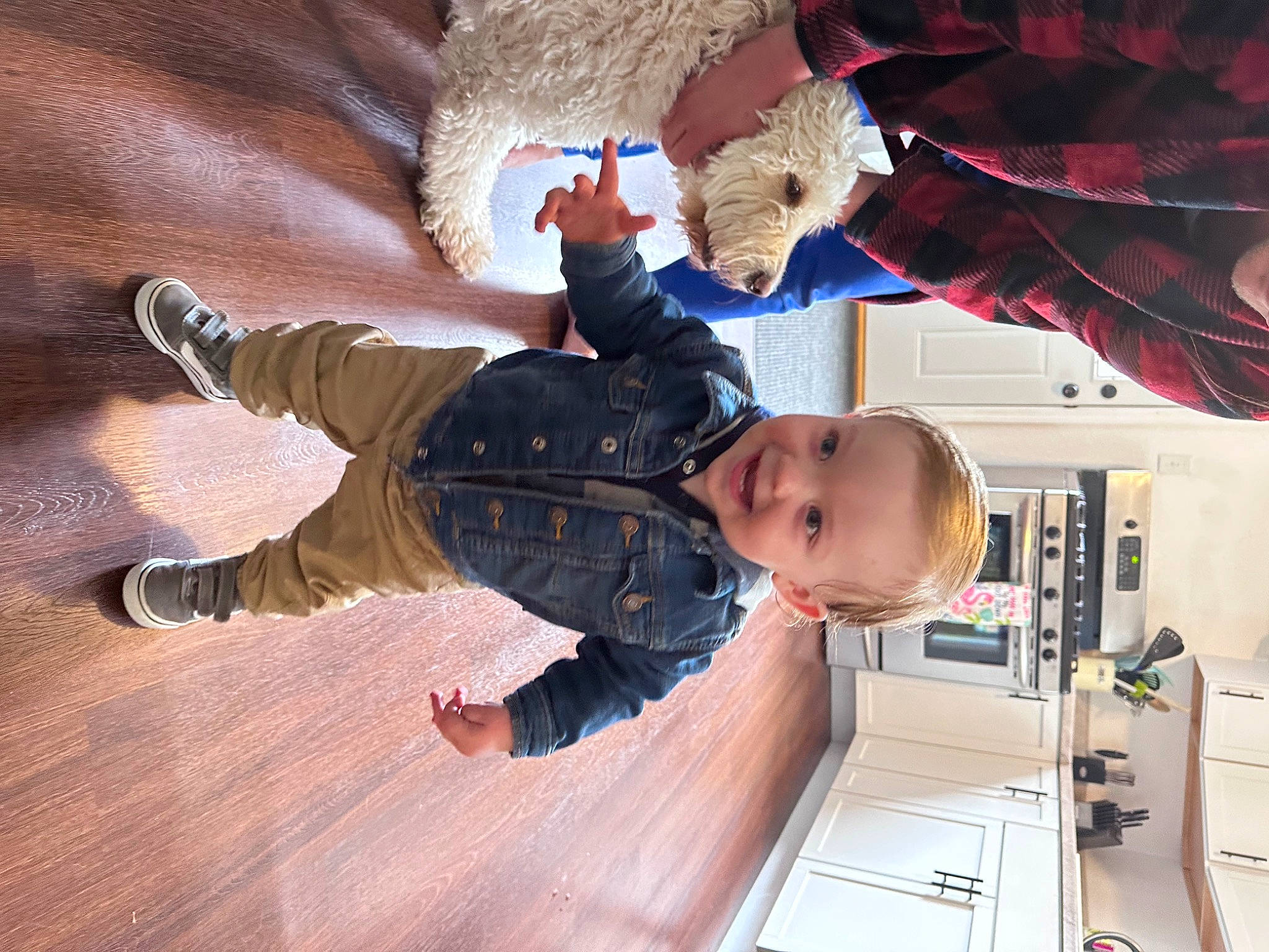Bodhi joined the competition — help win amazing prizes! baby, child, flooring, fun, gesture, hardwood, joy, machine, person, room, smile, toddler, tree, varnish, wood, wood_flooring